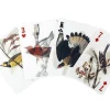 3D Bird Playing Cards