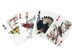 3D Bird Playing Cards