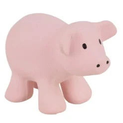 Pig Rubber Rattle And Bath Toy