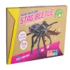Stag Beetle Mini-Builds